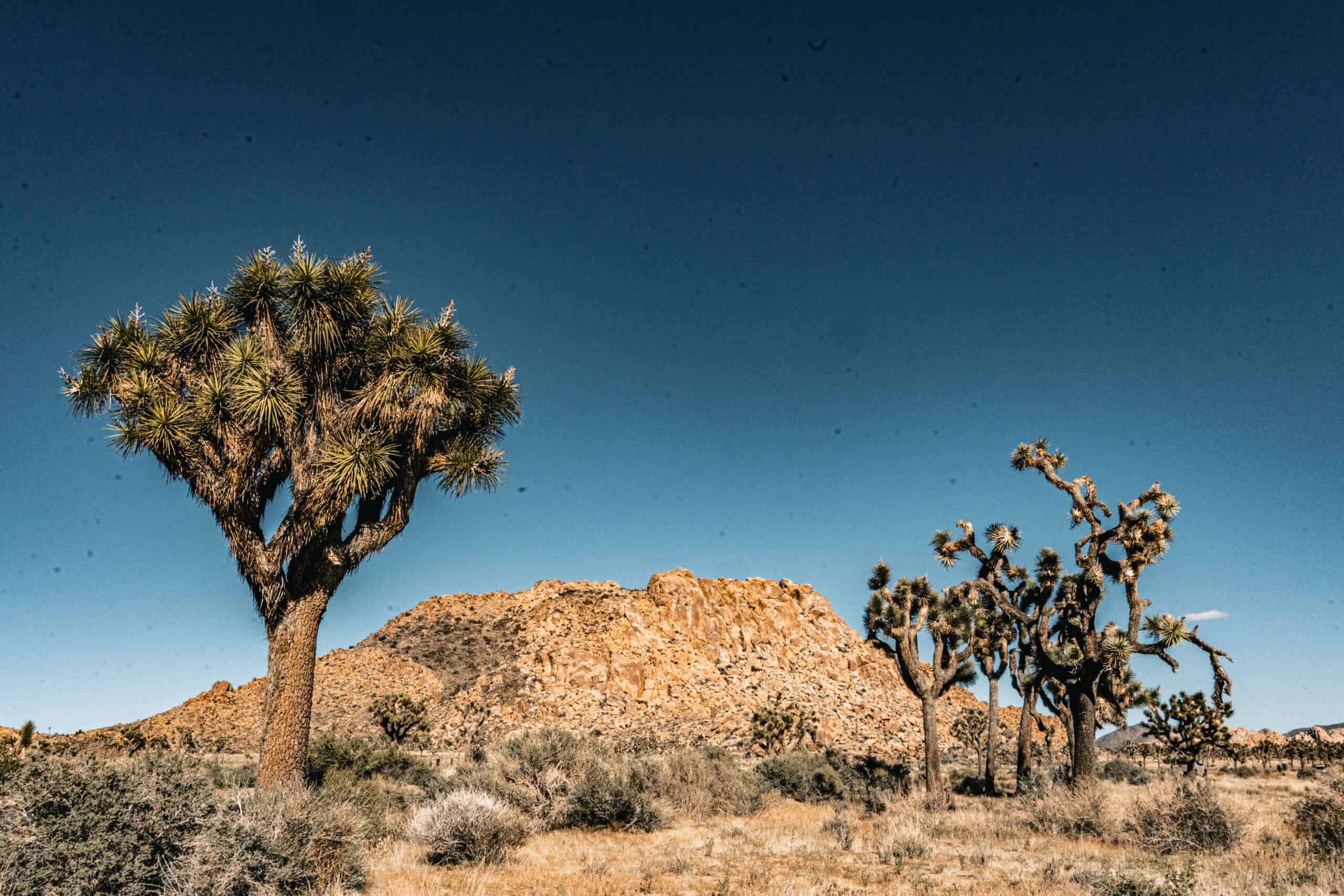 Reflections from our desert trip